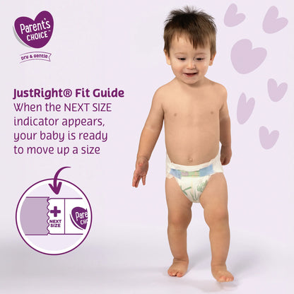Dry & Gentle Diapers Size 4, 246 Count (Select for More Options)